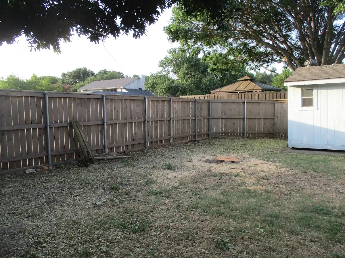 Cleared yard after professional tree removal in Littleton