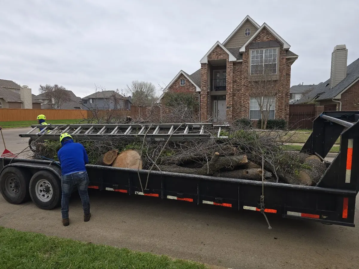 Expert Crown Reduction with proper safety equipment in Littleton